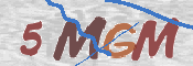 CAPTCHA obrázek